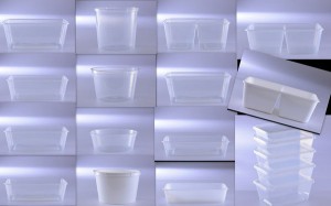 Disposable Food Containers